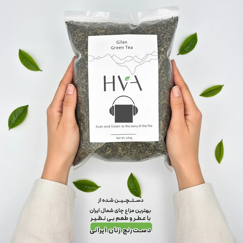 چای سبز ایرانی لنگرود حوا - 500 گرم