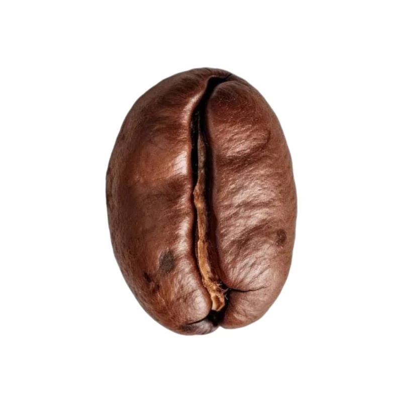 rbpHbPEL